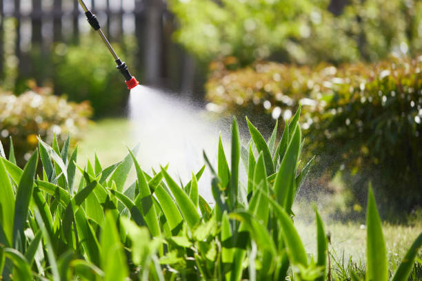 24/7 Emergency Ant Control experts in Lady Lake, FL