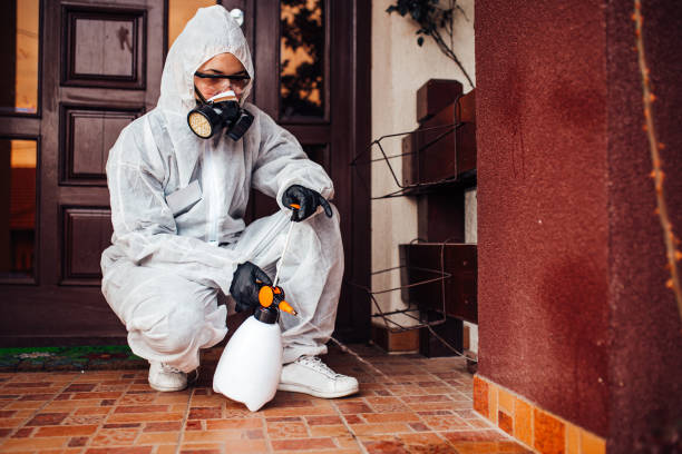 Reliable Ant Control contractor in Lady Lake, FL by Nex Pest Control